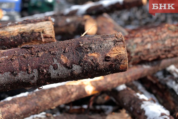 Ущерб от деятельности черных лесорубов превысил в Коми 4 млн рублей