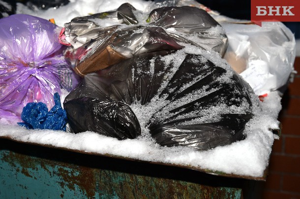 Жителей Коми собираются освободить от платы за вывоз крупногабаритного мусора еще на год