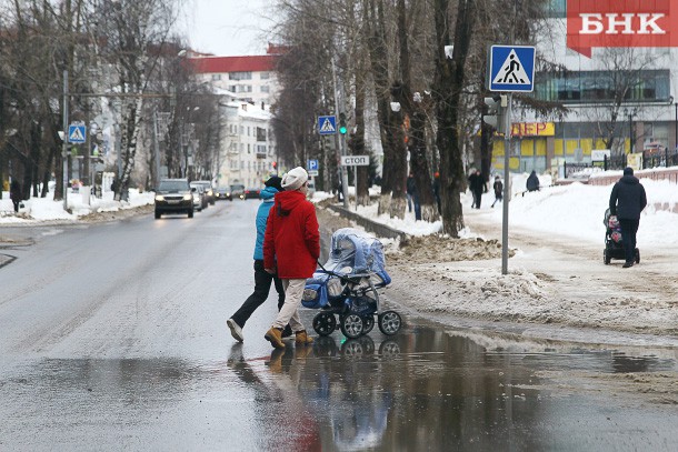 Гидрометцентр назвал причину аномально теплой зимы в России