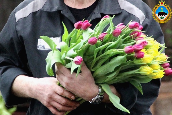 В Коми заключенные вырастили 3 тысячи тюльпанов к 8 марта