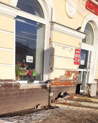 Глаз народа: «В Сыктывкаре рассыпается фасад дома, где располагался магазин «Столичный» 