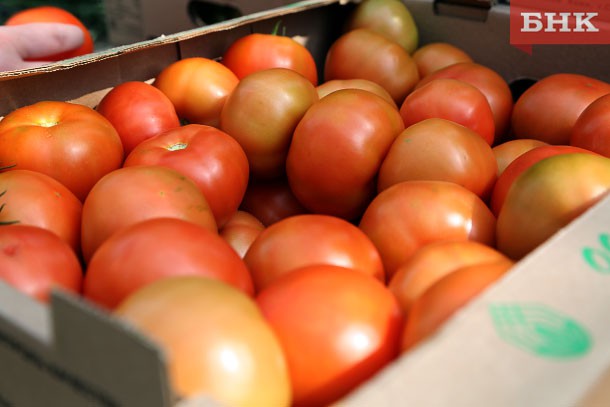 В Коми выросли цены на помидоры