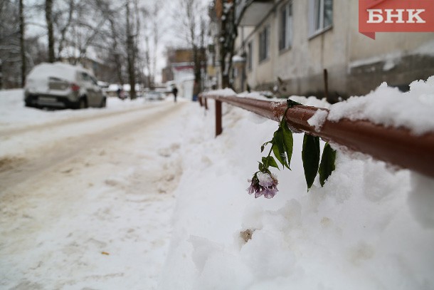 Упавшим на голову младенца снегом в Сыктывкаре занялись следователи