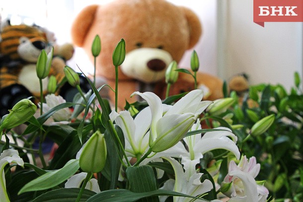 Романтик из Печоры купил девушке цветы на деньги «Банка приколов»