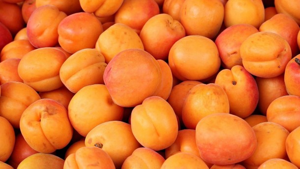 Диетолог рассказала, для кого опасны абрикосы
