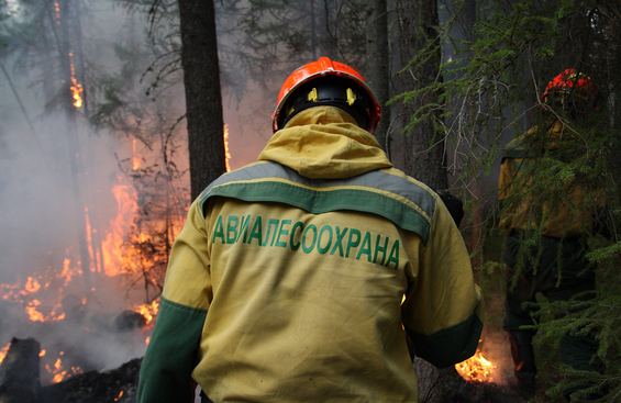 За сутки в Коми ликвидировано три лесных пожара