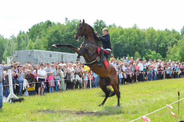 В дни празднования 95-летия Коми состоится конное шоу