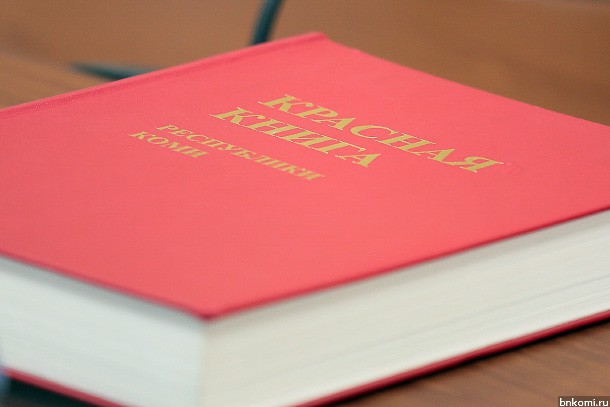 Красную книгу Коми в новой редакции издадут в 2019 году