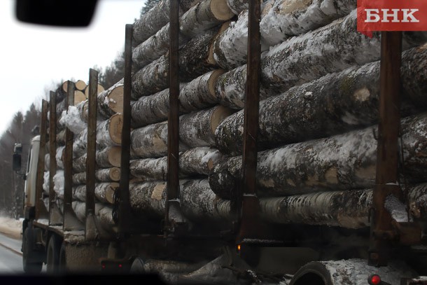 Компания в Коми оштрафована за отсутствие декларации о сделках с древесиной