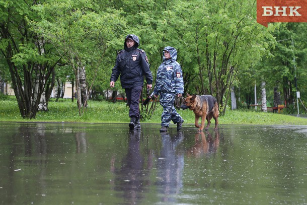 Власти Коми готовы заплатить полиции 3,5 миллиона рублей за составление административных протоколов на нарушителей