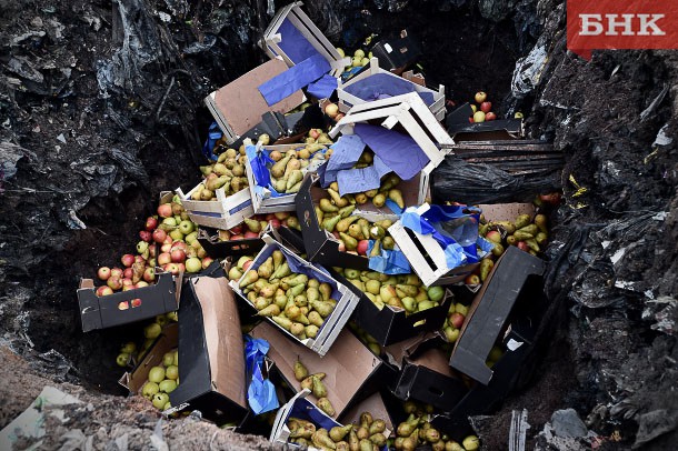В России с 2015 года уничтожили 17 тысяч тонн санкционных продуктов