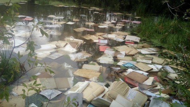 В Печоре предпринимателя оштрафовали за плавающий в реке архив документов