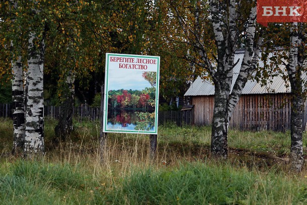С нелегальных лесорубов в Коми взыскано восемь миллионов рублей