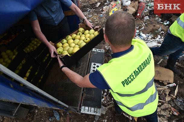 Санкционных фруктов уничтожено в Коми в полтора раза больше