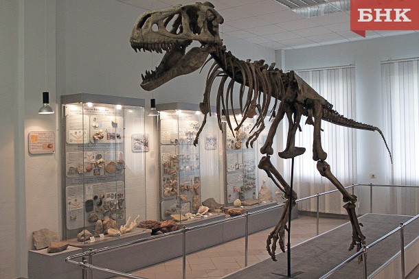 Скелет тарбозавра и зуб брадиодонта теперь можно увидеть в Сыктывкаре