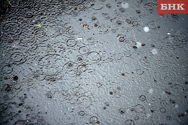 В прошлом году в Коми выпало восемь «кислотных» дождей