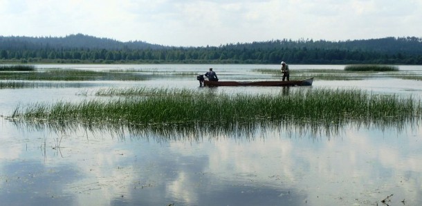 Новости партнеров: «Озера на Удоре могут стать болотом»