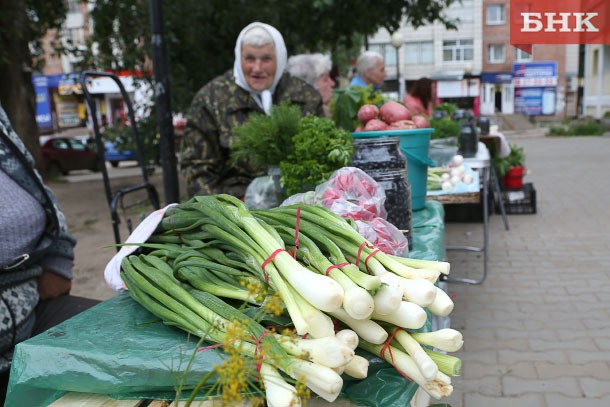 На обсуждение: «Россияне считают вегетарианство вредным»