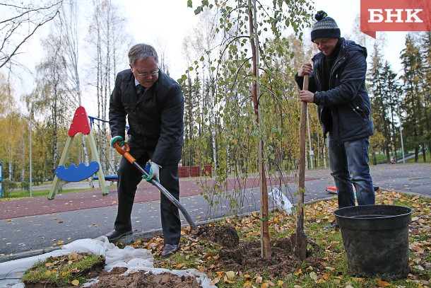 К юбилею дошкольного образования в Сыктывкаре высадили 100 рябин