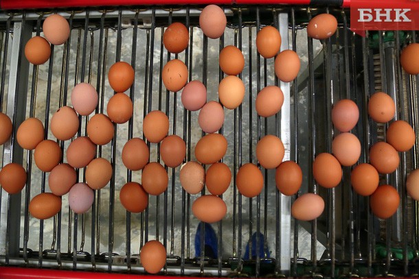 В России яйца стали продавать поштучно