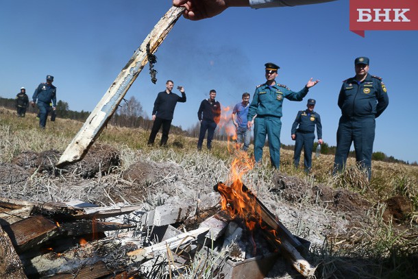 В Коми сгорело два гектара сухой травы 