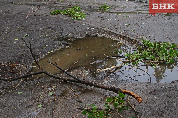 Синоптики предупредили о грозе с порывами ветра в Прилузском и Койгородском районах