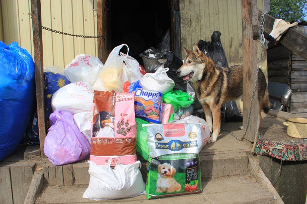 Более центнера круп и корма для бездомных животных собрали жители Ухты и Сыктывкара  